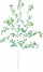 tree04