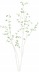tree08