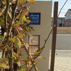 031_thumb1
