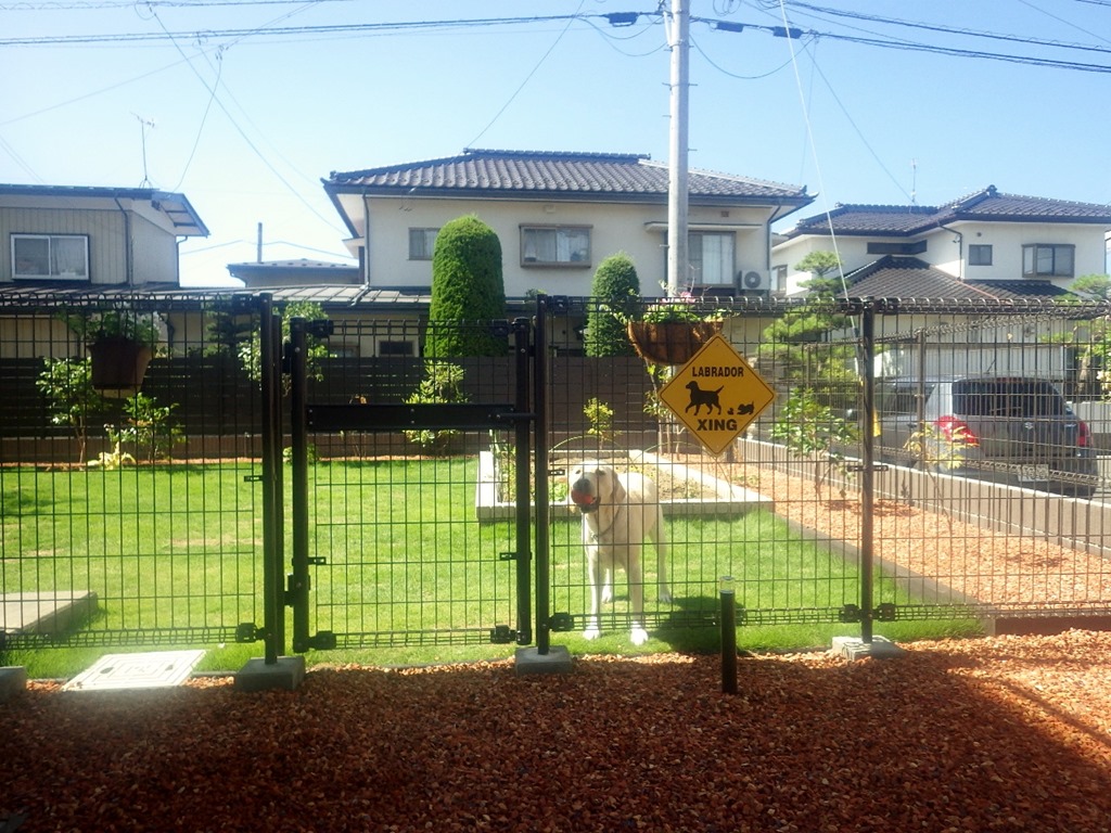 庭のリフォームでドッグラン