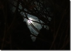 イブの夜の月