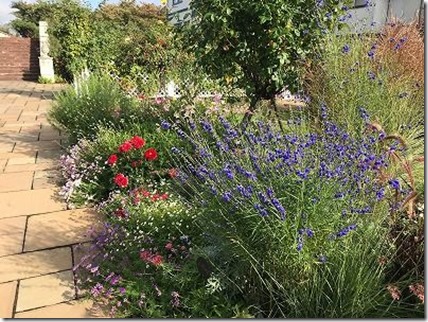 English　border garden