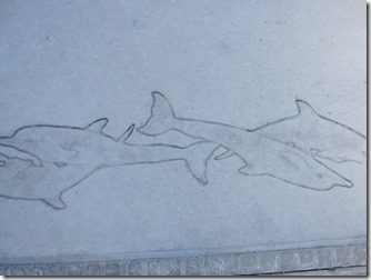 Konkurīto moyō bordet art 024