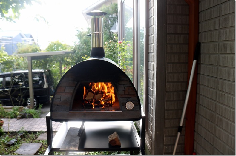 Pizza oven ignition 3330 (1024x672)