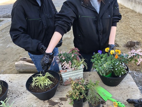 3月3日女子会寄せ植え