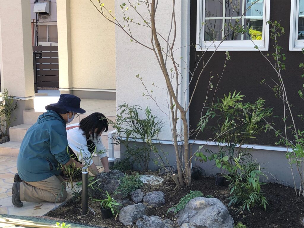 植栽中