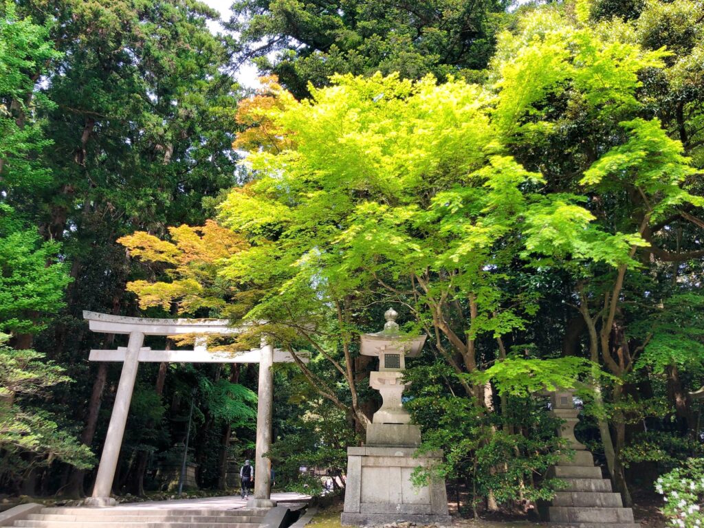 弥彦神社