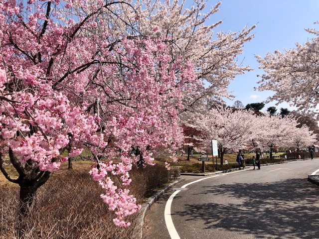 上田城