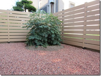 Niwa o kakou AlphaWoot　Raitoōkā