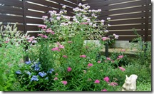 Niwa de kaiteki ni sugosu　mekakushi023