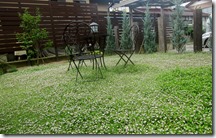 Niwa de kaiteki ni sugosu　mekakushi027